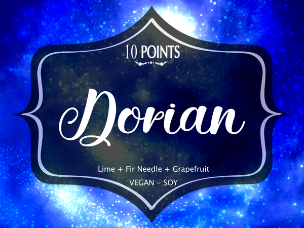 Dorian - Book Inspired Soy Candle  Scent Notes: Lime, Fir Needle & Grapefruit