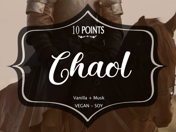 Chaol - Book Inspired Soy Candle  Scent Notes: Vanilla & Musk