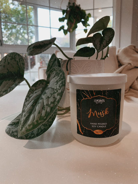 Classic Home Range candles  Candle comes in 15 scents